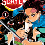 Demon Slayer - Kimetsu No Yaiba 01