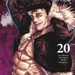 Jujutsu Kaisen 20 (Norma)