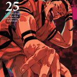 Jujutsu Kaisen 25 (Norma)