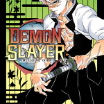 Demon Slayer - Kimetsu No Yaiba 17