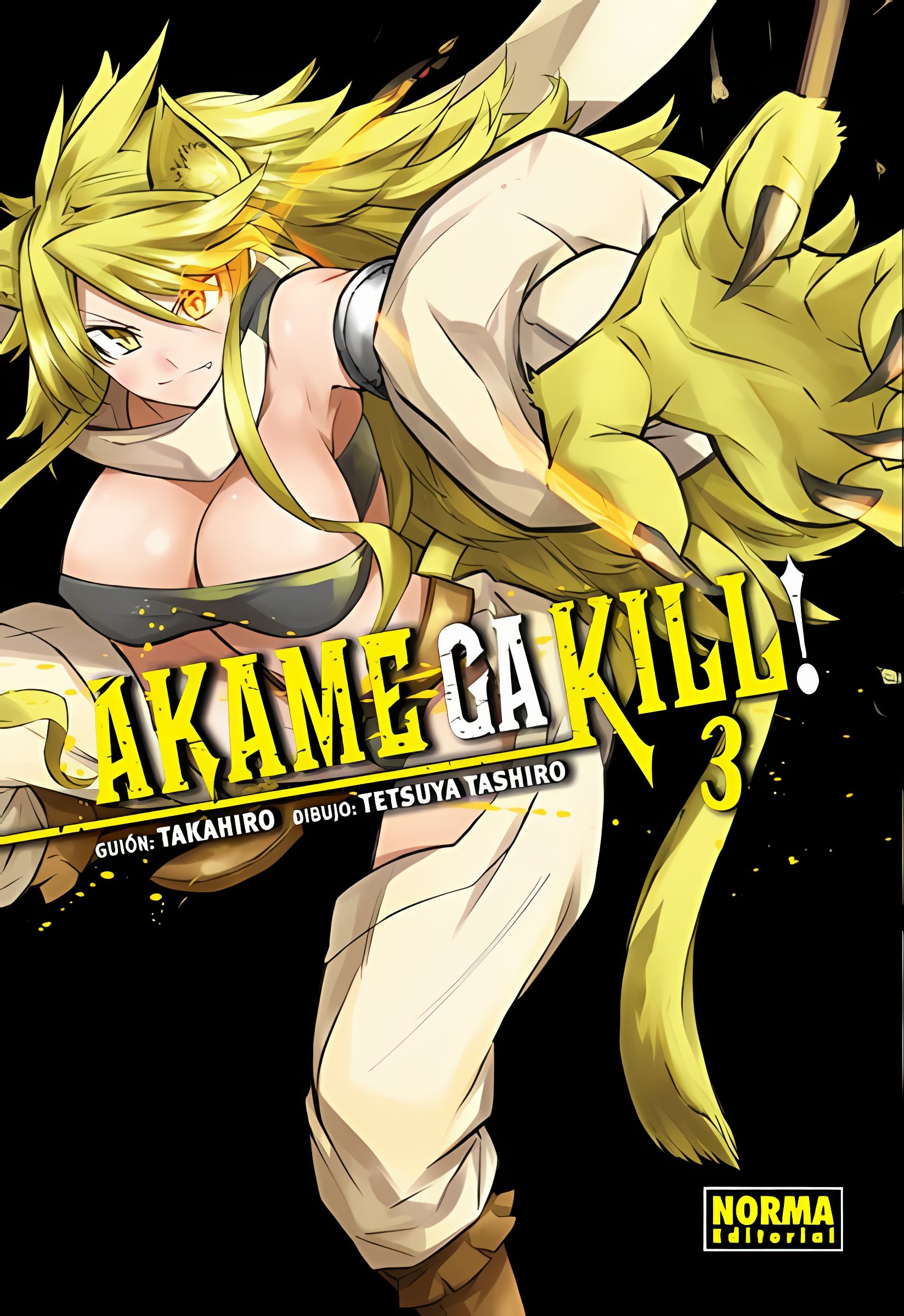 imagen-18.png Akame ga Kill! 03 - Imagen 1