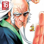 One Punch Man 16