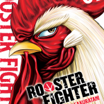 Rooster Fighter 01