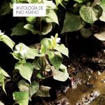 Antología de Inio Asano